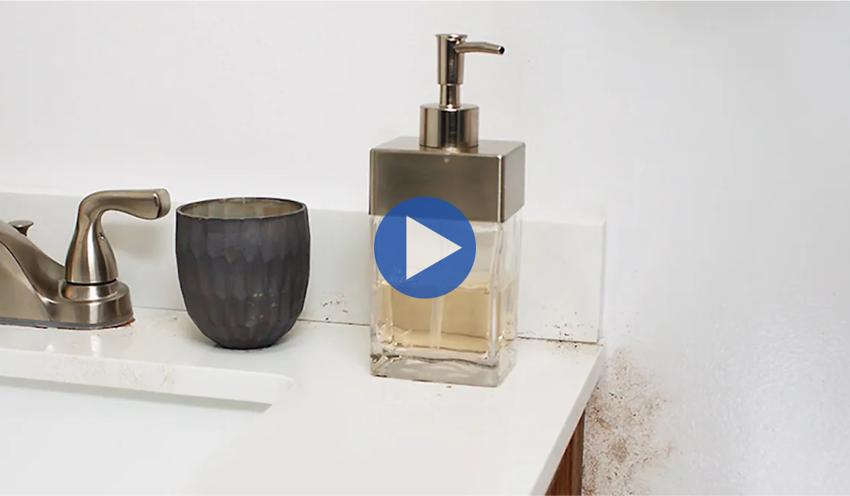 Learn how to use Clorox bleach to remove mold and mildew.