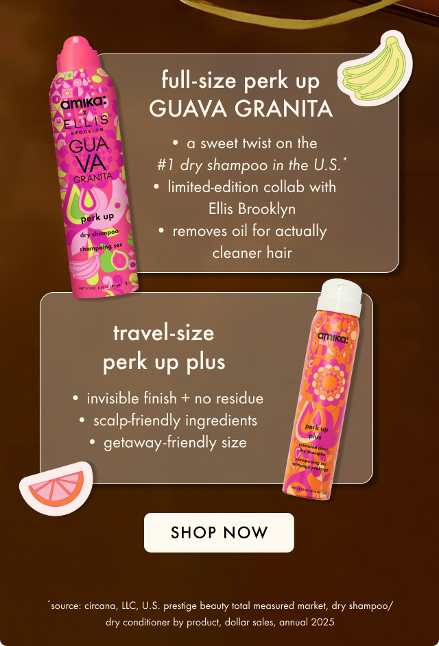 beach day besties dry shampoo duo