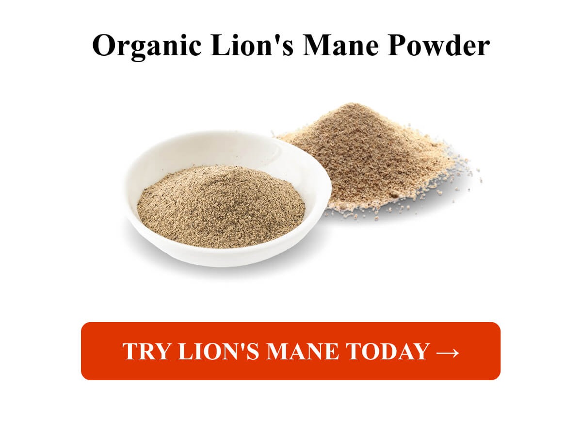 Try Lion's Mane Today →