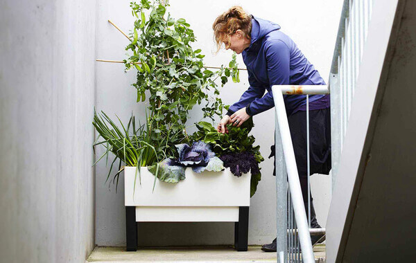 Self-Watering Planters