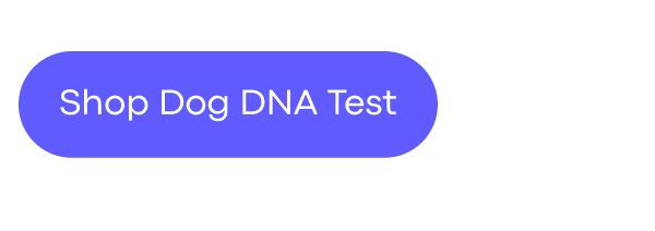 Shop Dog DNA Test