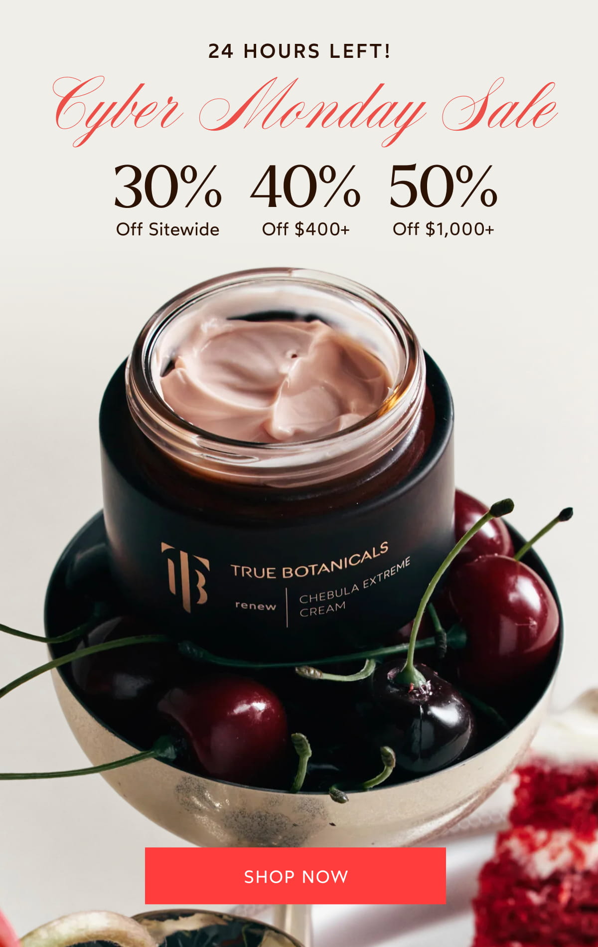 Cyber Monday Sale