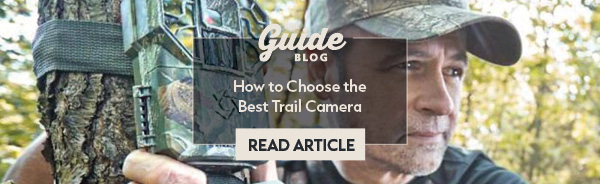 Trail Camera Buyer's Guide: How to Choose the Best Camera
