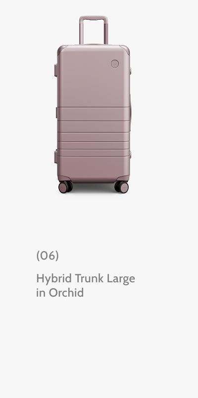 (06) Hybrid Trunk Large in Orchid.