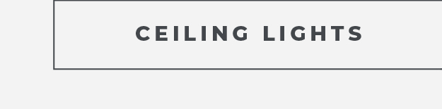 Shop Ceiling Lights