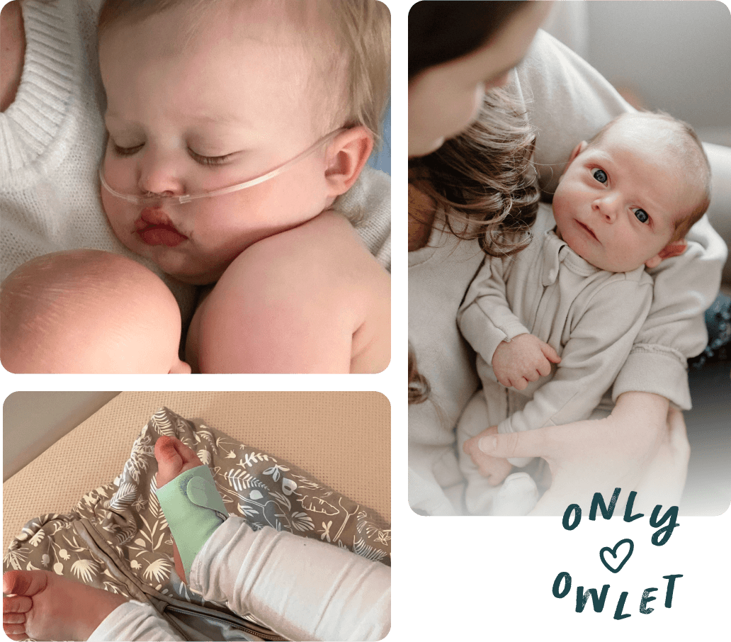 Only Owlet