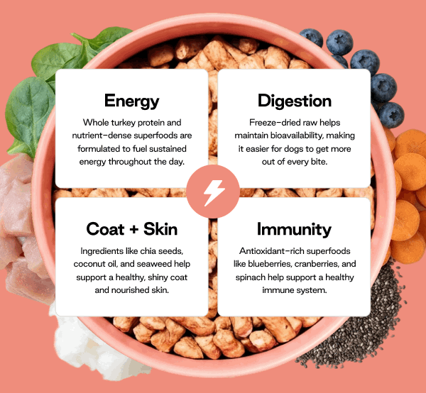 Your dog gets more out of every bite - while you keep meal time simple.