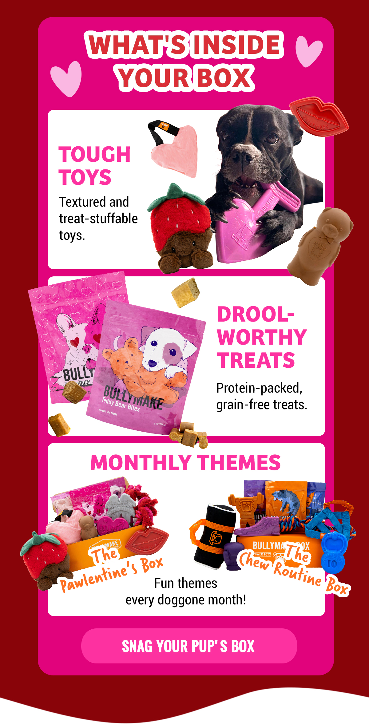 Bullymake Dog Toy Subscription Box