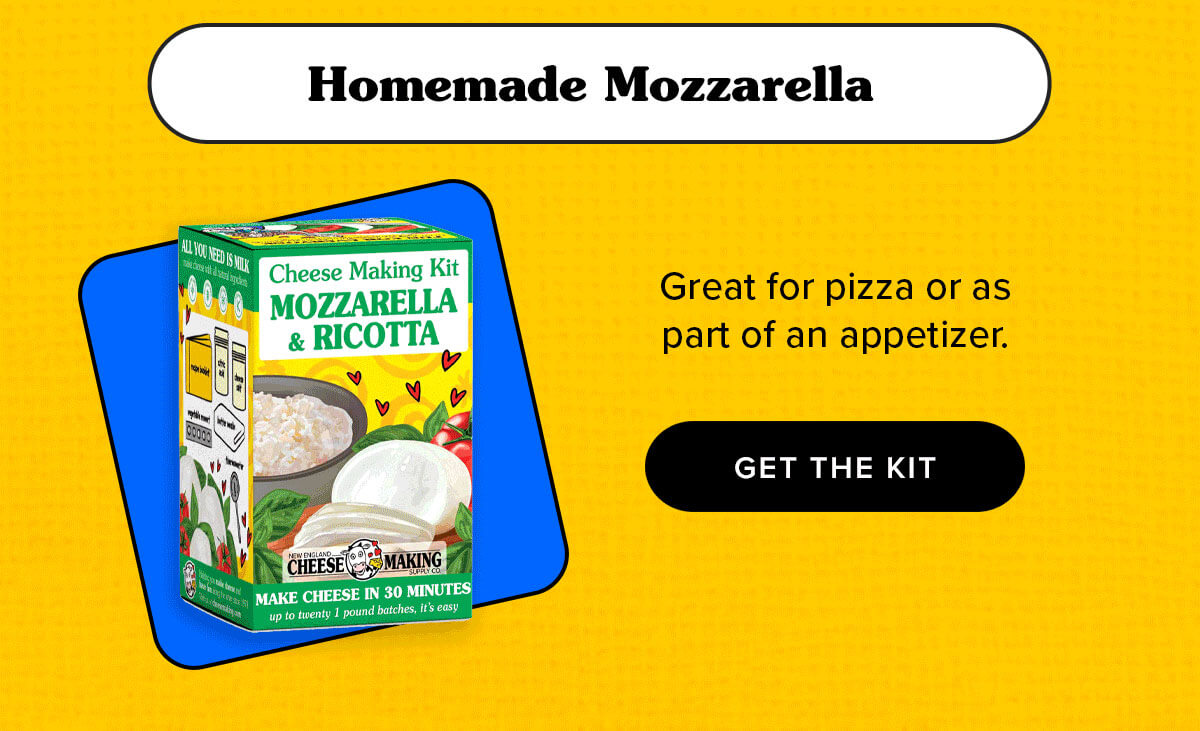 Homemade Mozzarella | Great for pizza or as part of an appetizer.