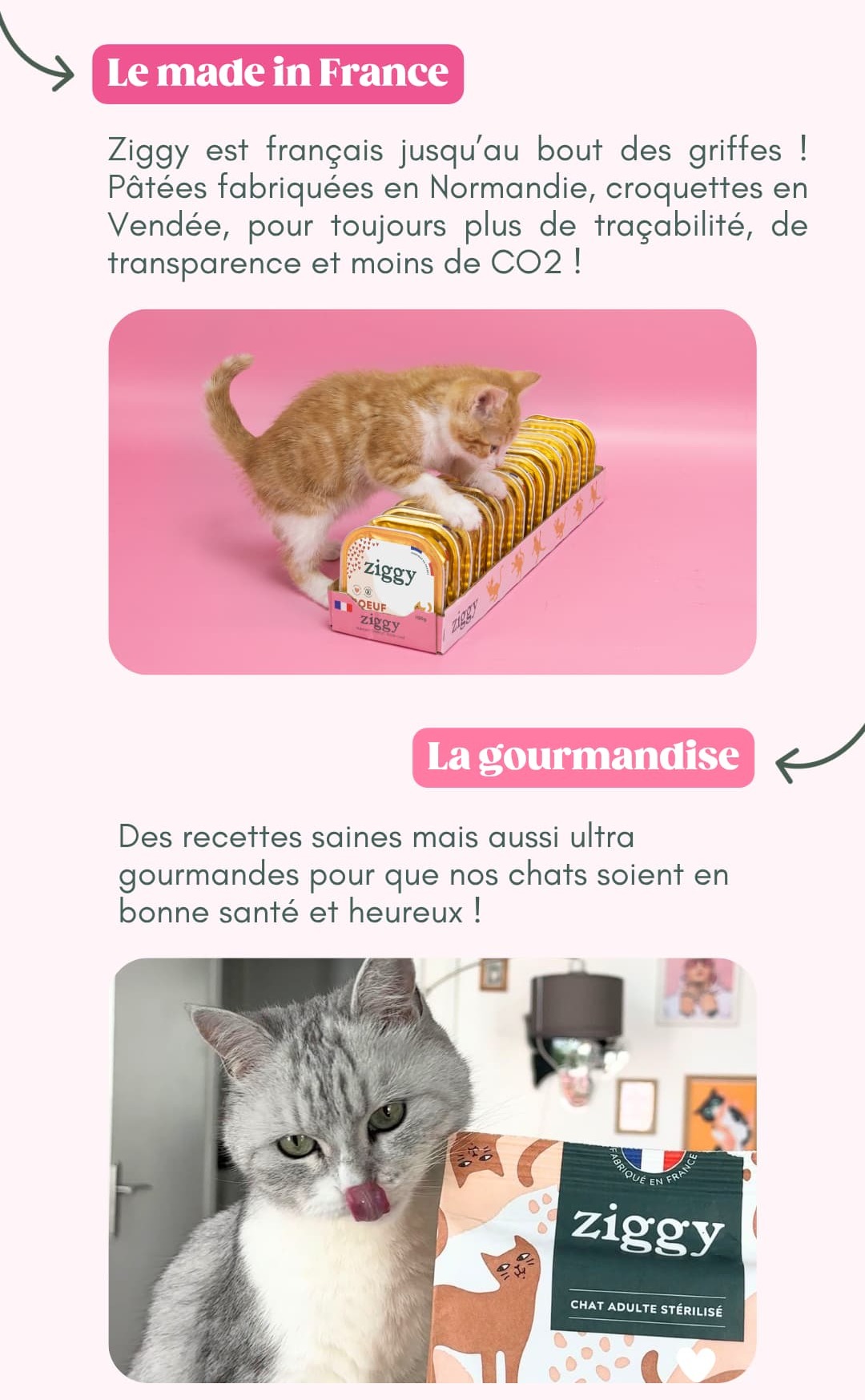Le made in France et la gourmandise chez Ziggy