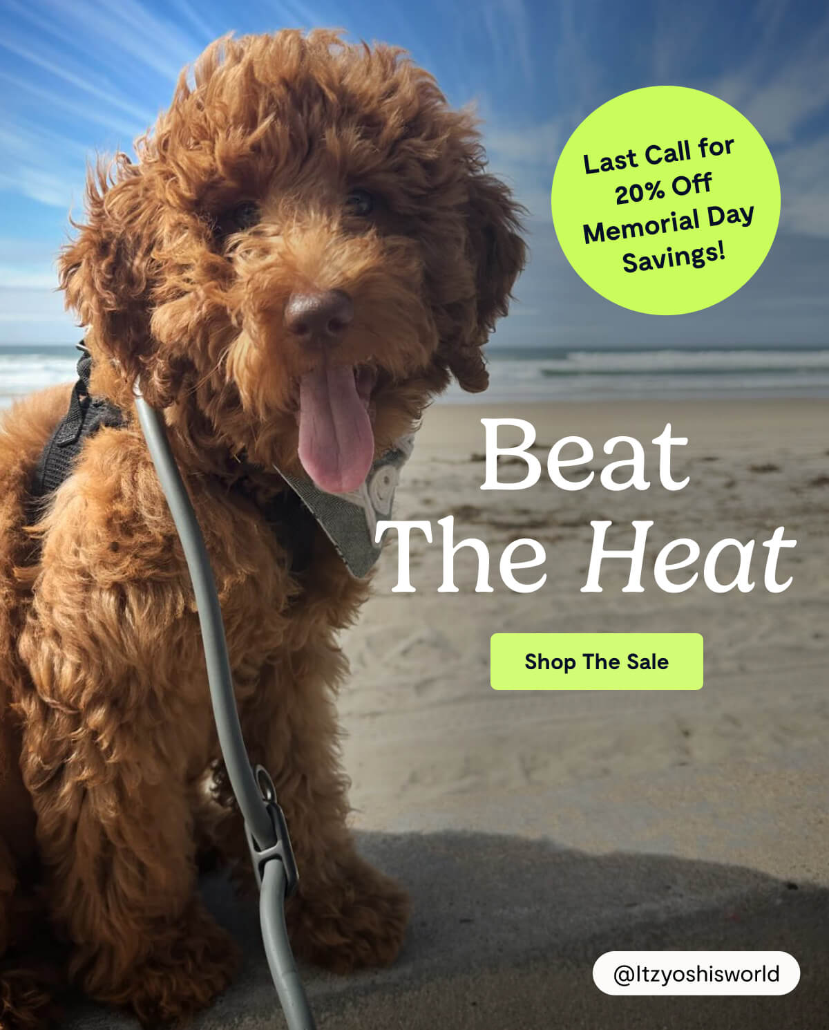 Beat The Heat