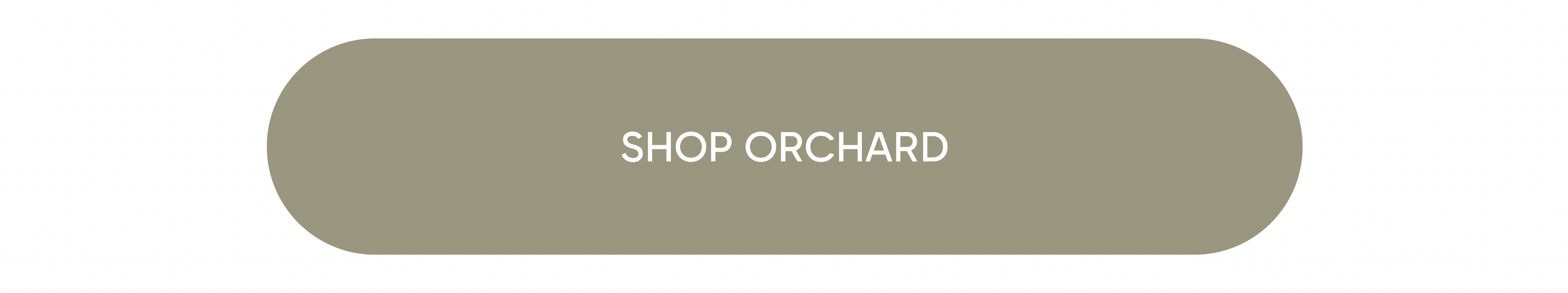 Shop Now Button