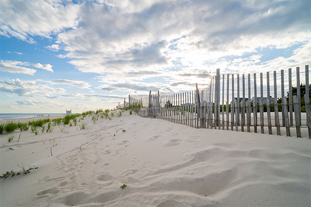 A sandy beach beneath a sunny sky.