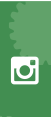 Follow Us on Instagram