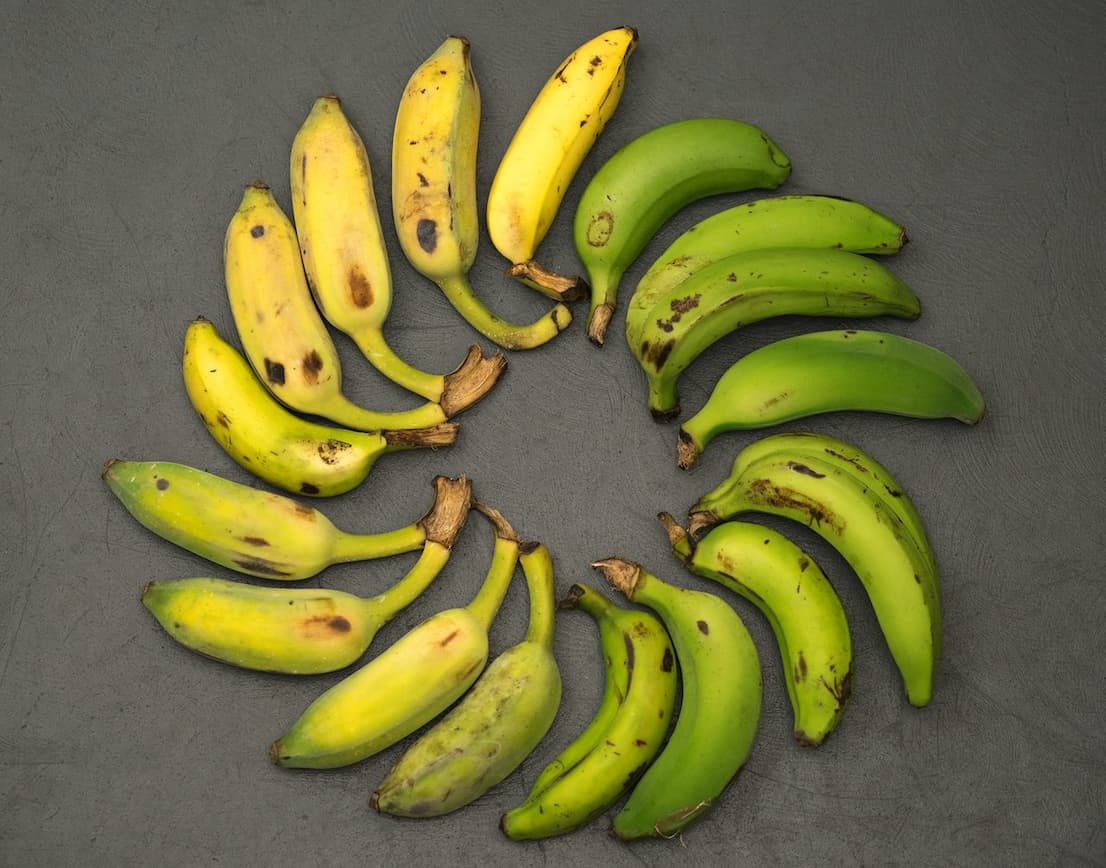 Bananas