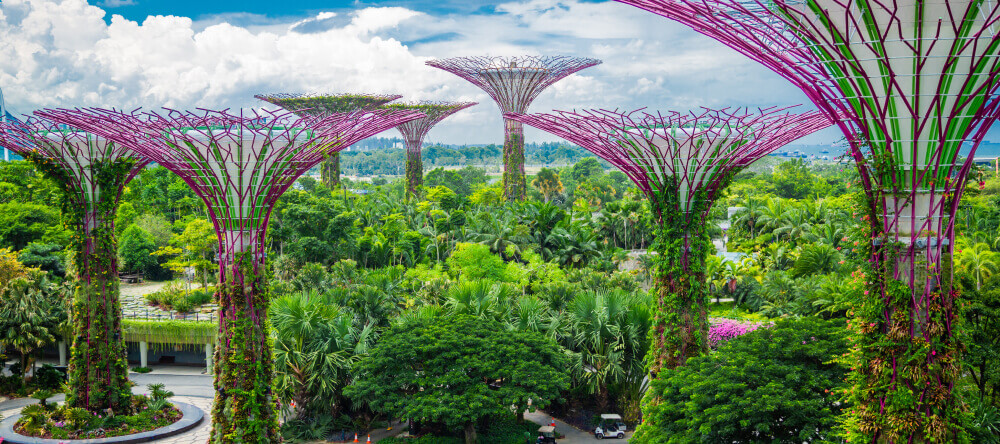 Explore Singapore