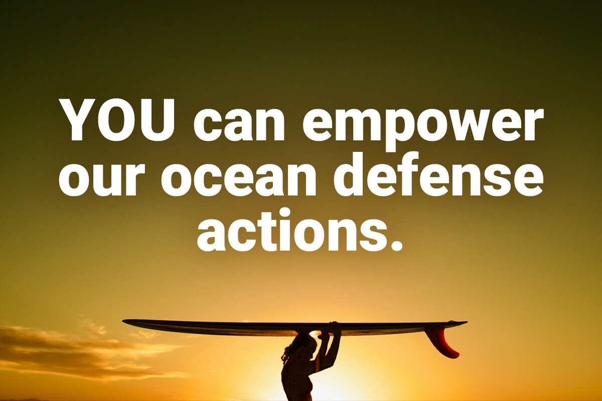 YOU can empower our ocean defense actions.