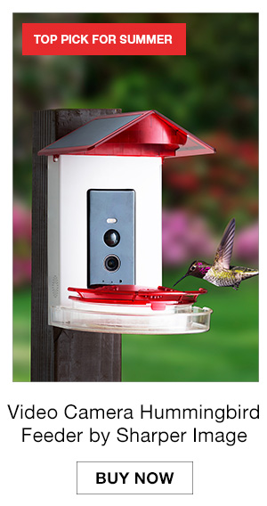 Video Camera Hummingbird Feeder by Sharper Image