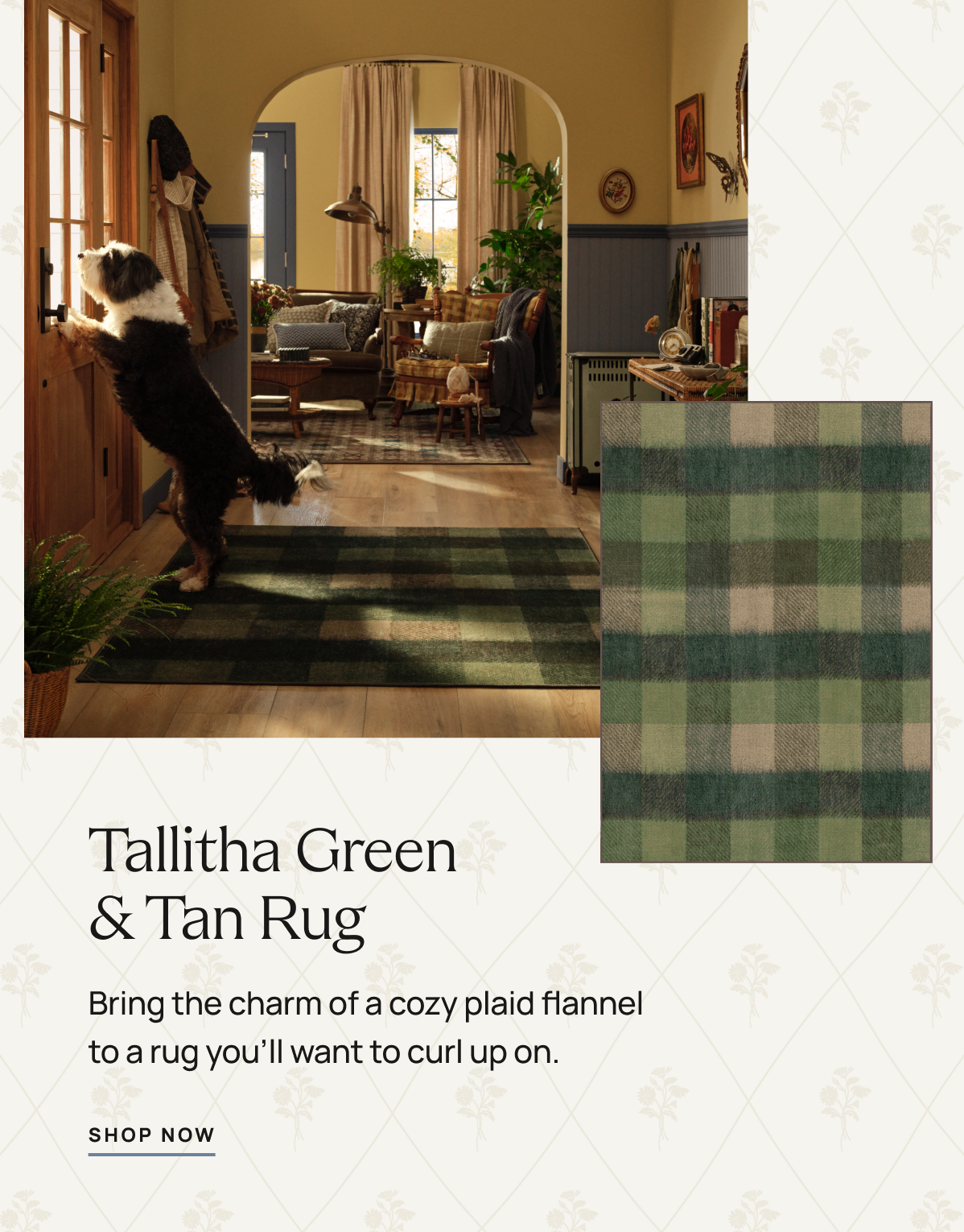 Tallitha Green & Tan Rug 