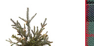 Suzanne Kasler 3' Flocked Fraser Fir Tabletop Tree
