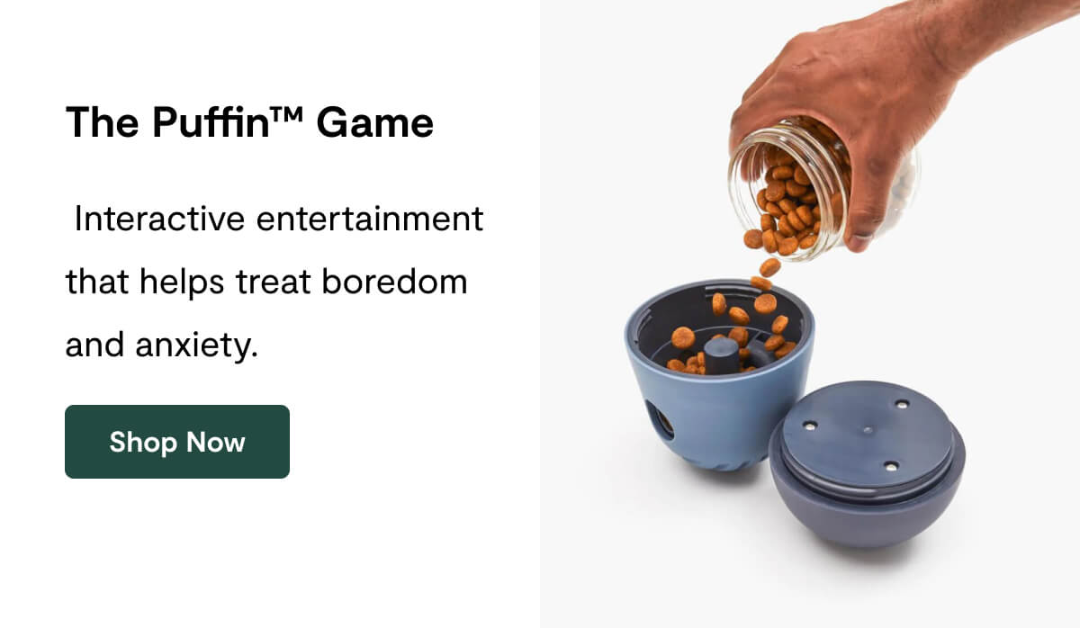 The Puffin™ Game