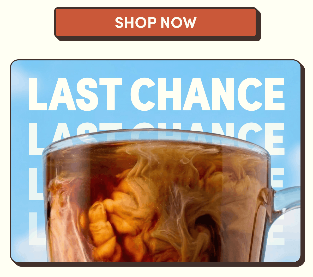 Shop Now | Last Chance