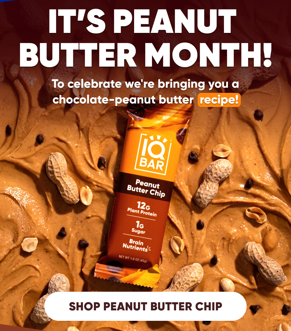 Shop Peanut Butter Chip