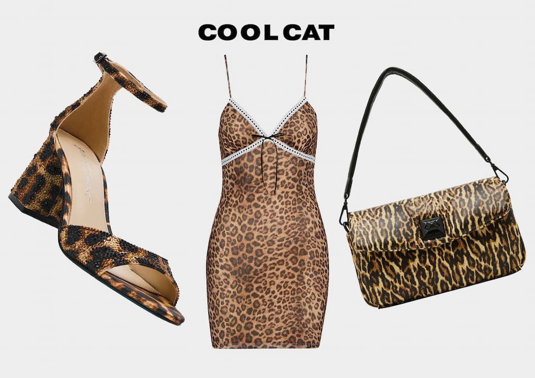 Cool Cat