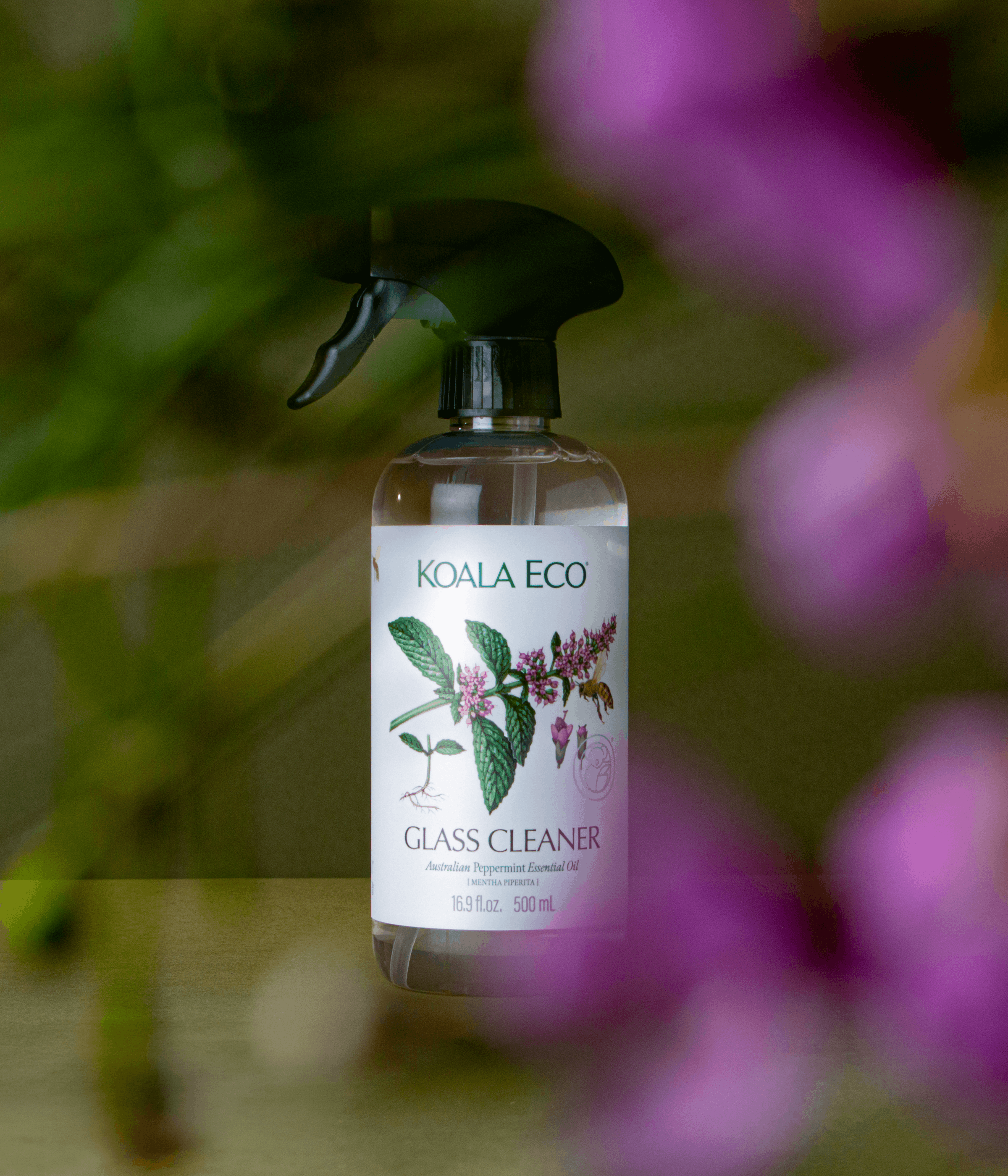 GLASS CLEANER