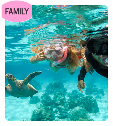 Snorkel with wildlife in the Galapagos