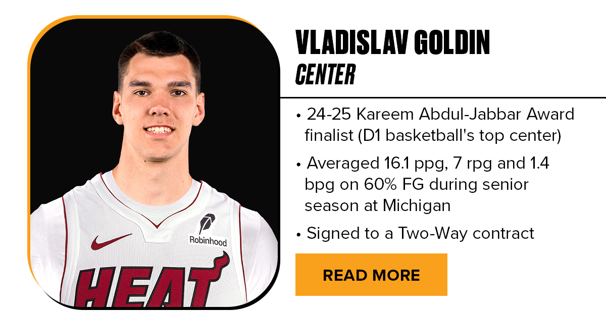 VLADISLAV GOLDIN  - READ MORE