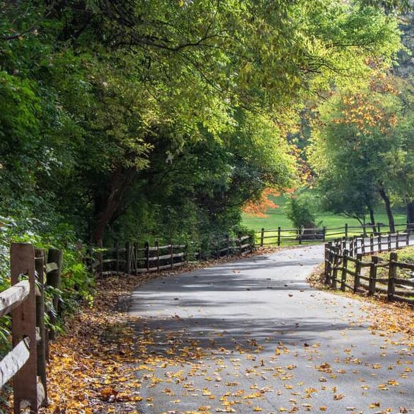 Explore These Wonders in the Wilds of Reading and Berks County, Pennsylvania