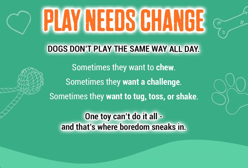 Bullymake Dog Toy Subscription Box