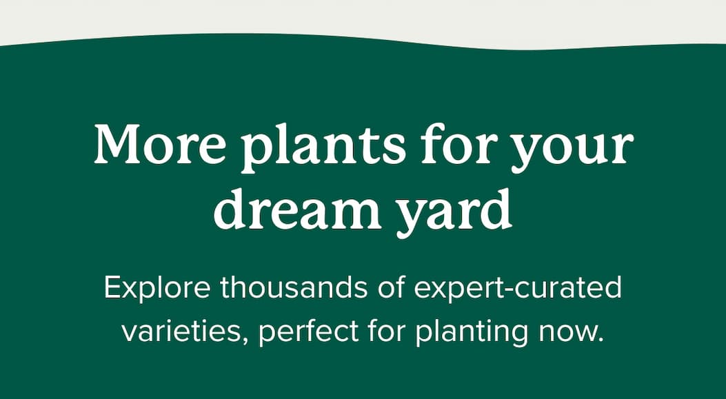 More plants for your dream yard. Explore thousands of expert-curated varieties, perfect for planting now. 