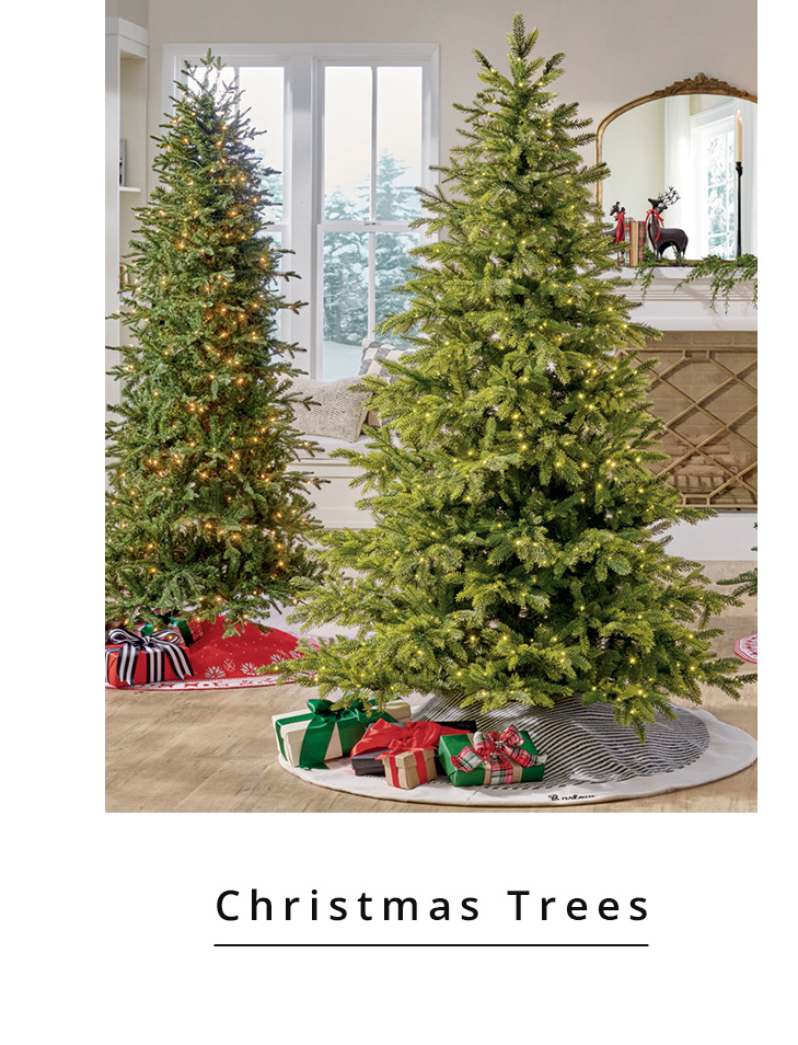 Christmas Trees