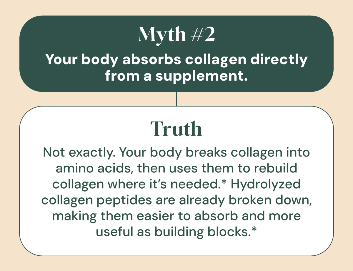 Myth #2