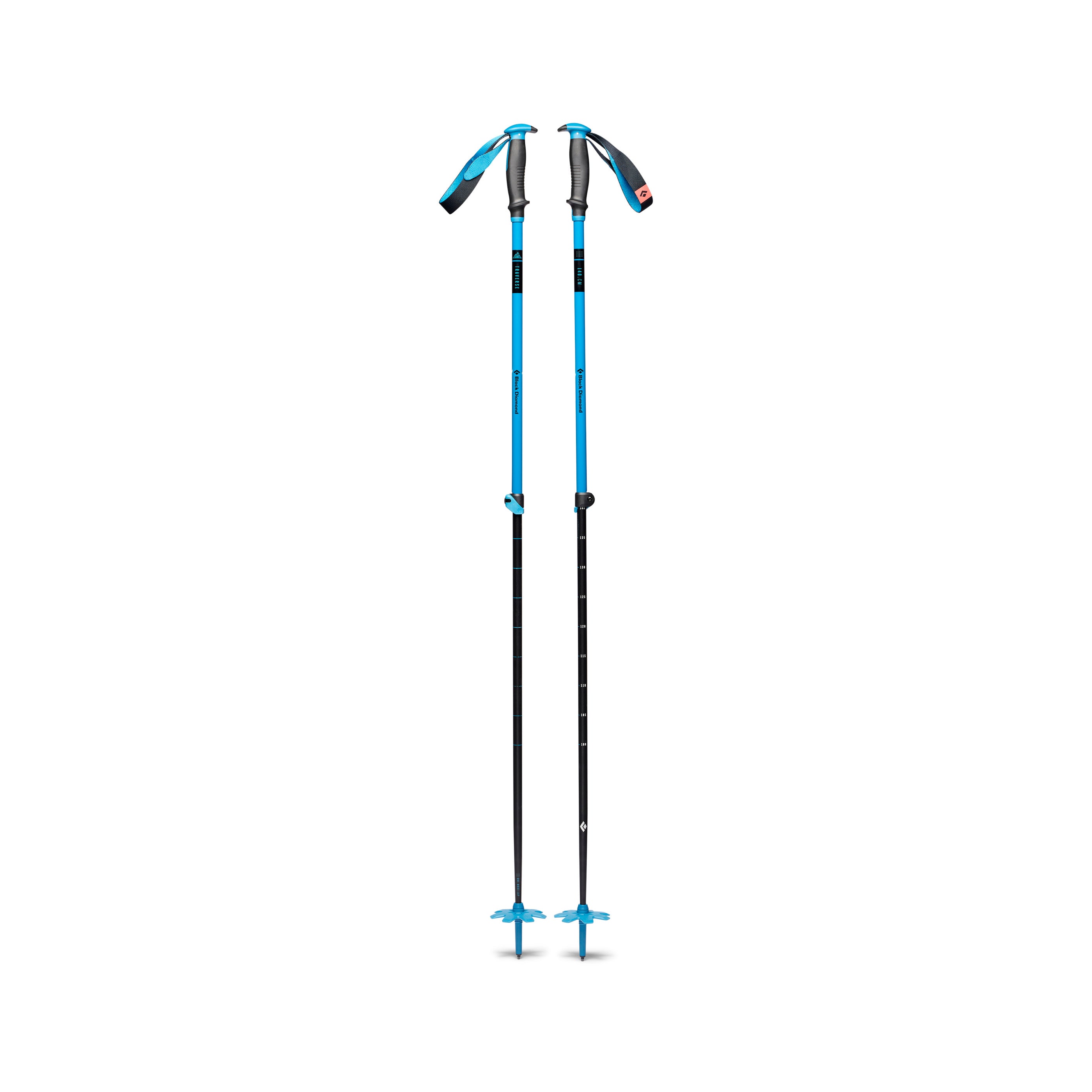 Image of Traverse Ski Poles