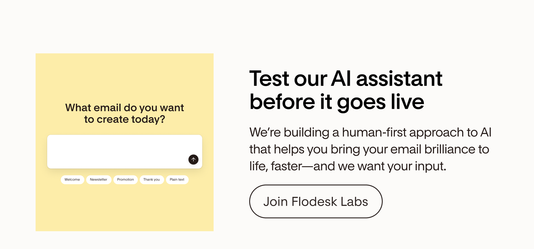 Test our AI assistant before it goes live | Join Flodesk Labs