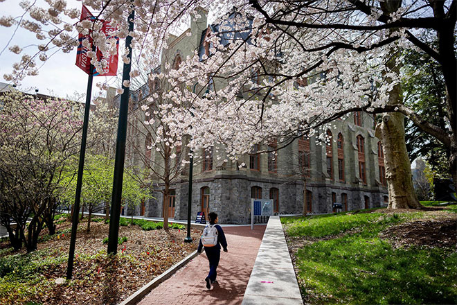 A student walks through campus beneath flowering trees.