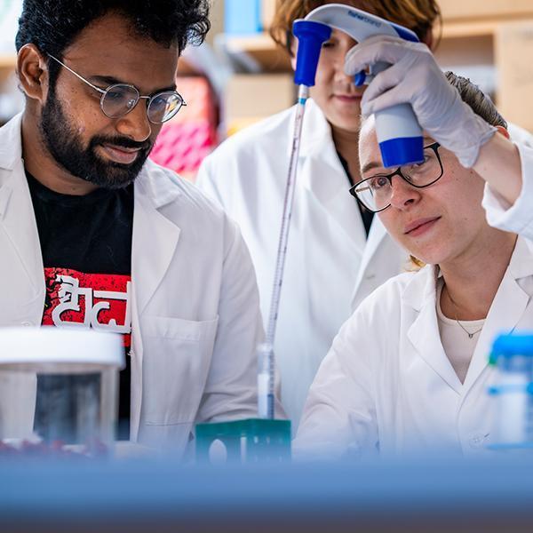 Researchers working in lab.