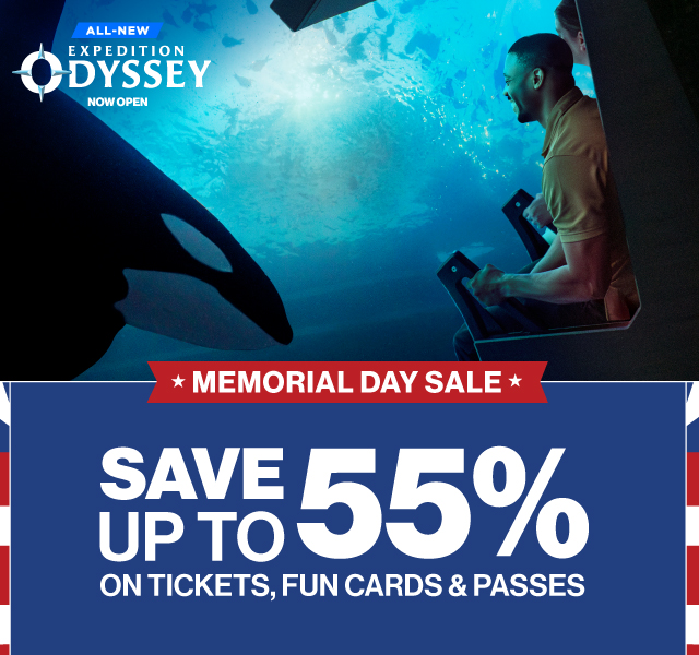 Plan Your Visit