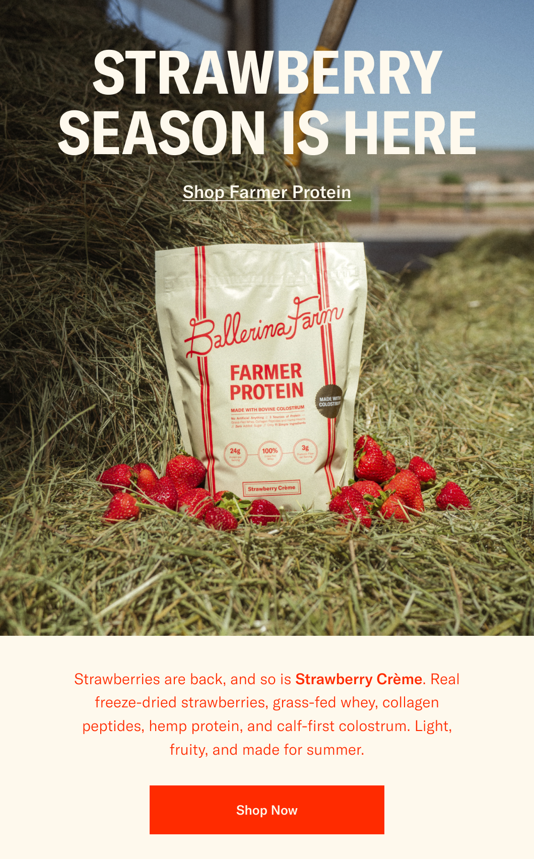 Ballerina Farm | Shop Now