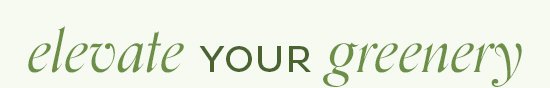 Elevate you Greenery - Shop Now