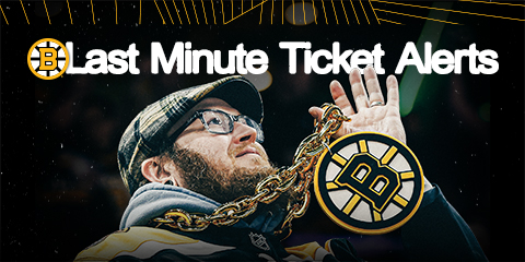 Last Minute Ticket Alerts