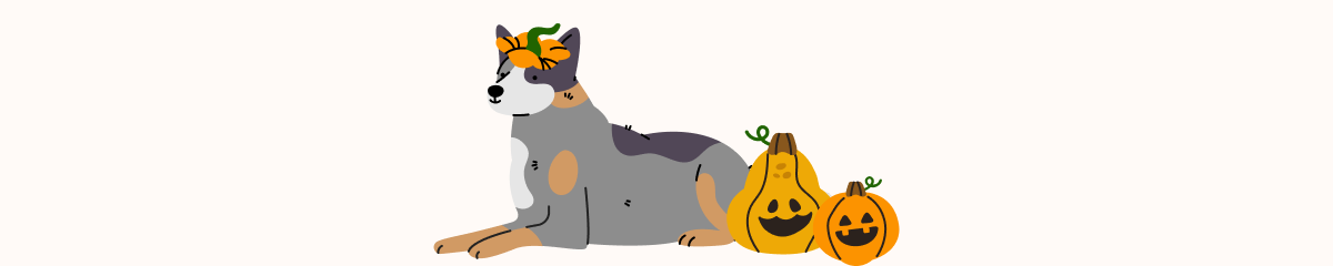 Dog Image