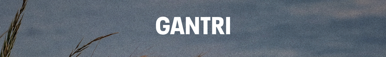 GANTRI