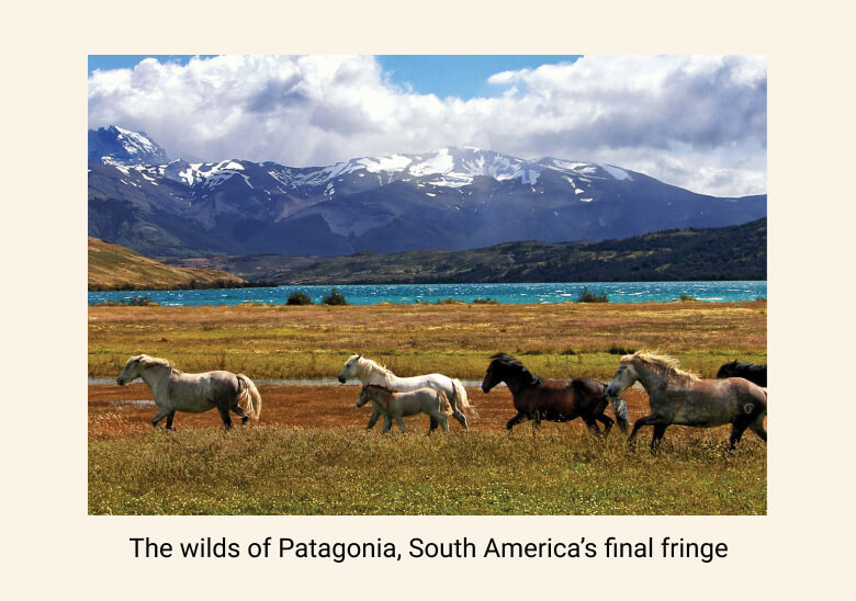 the wilds of Patagonia