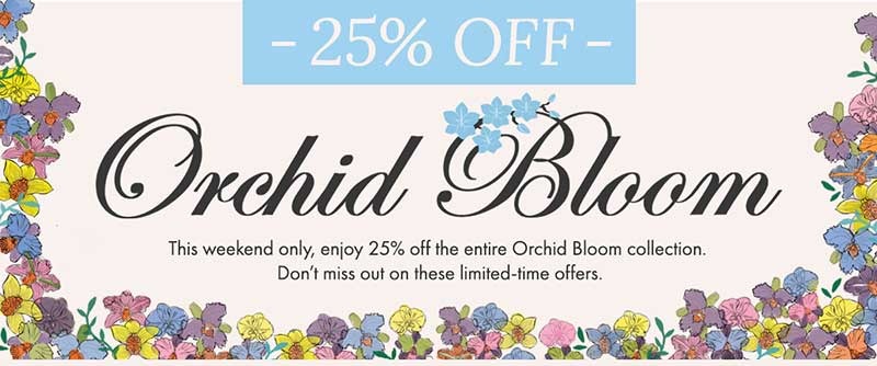 Orchid Bloom