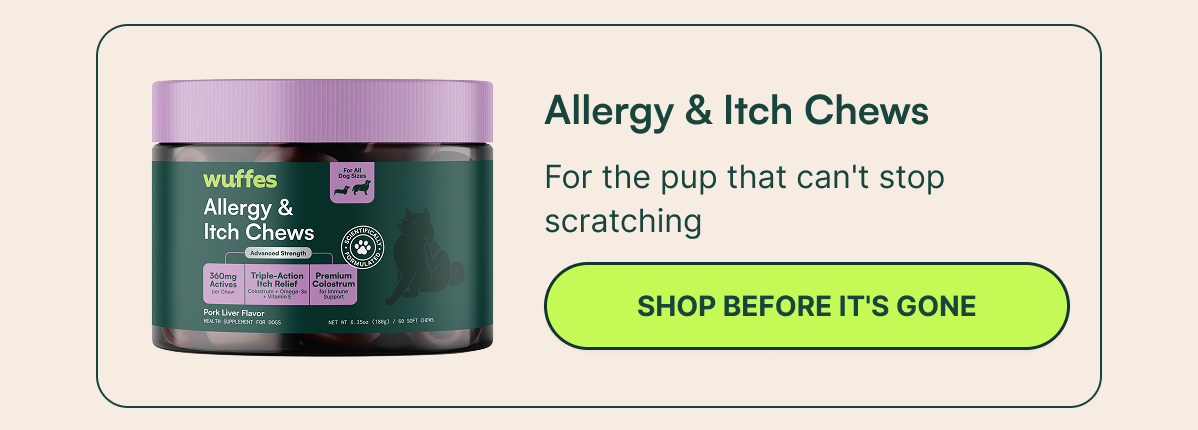 Allergy & Itch Chews