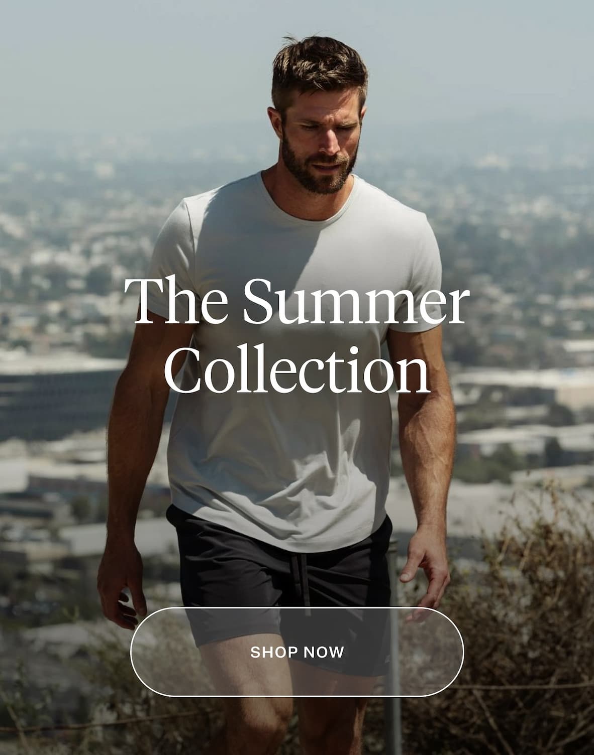 The Summer Collection